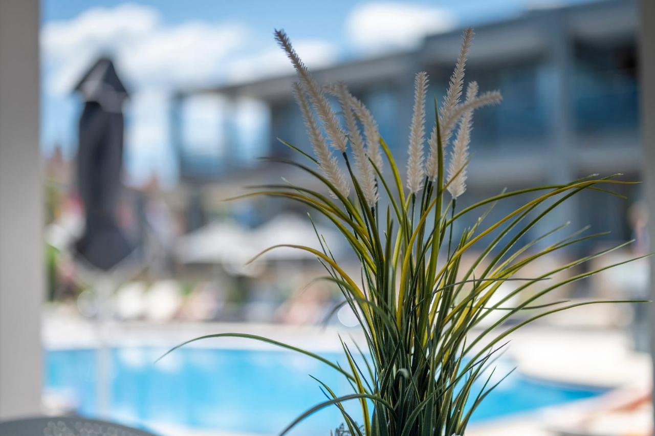 Dionysos Hotel Hanióti Kültér fotó